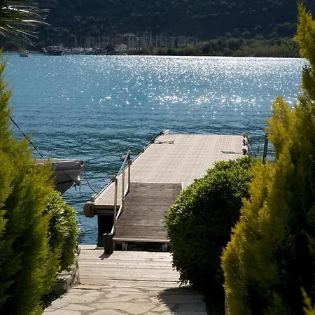 George Γένι